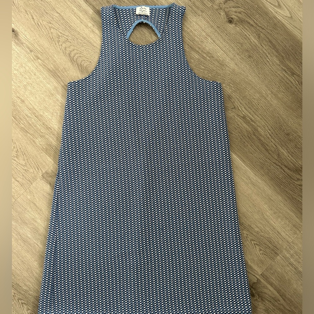 Zara Trafaluc Dress